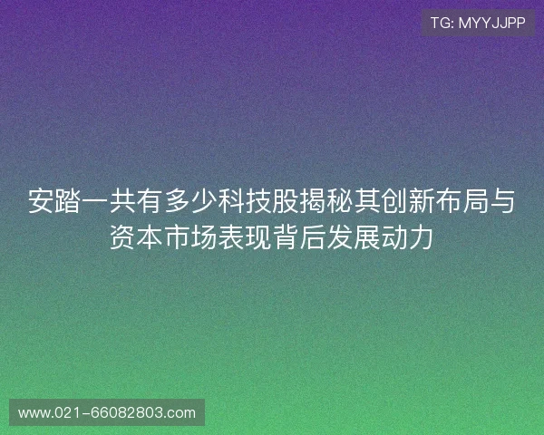 安踏一共有多少科技股揭秘其创新布局与资本市场表现背后发展动力 安踏一共有多少科技股揭秘其创新布局与资本市场表现背后发展动力